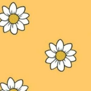 Meet your Posher, Ashlynn